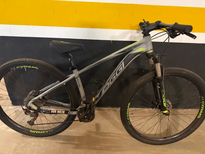 Bike Oggi 29