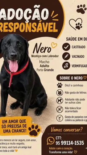 ADOÇÃO RESPONSÁVEL 