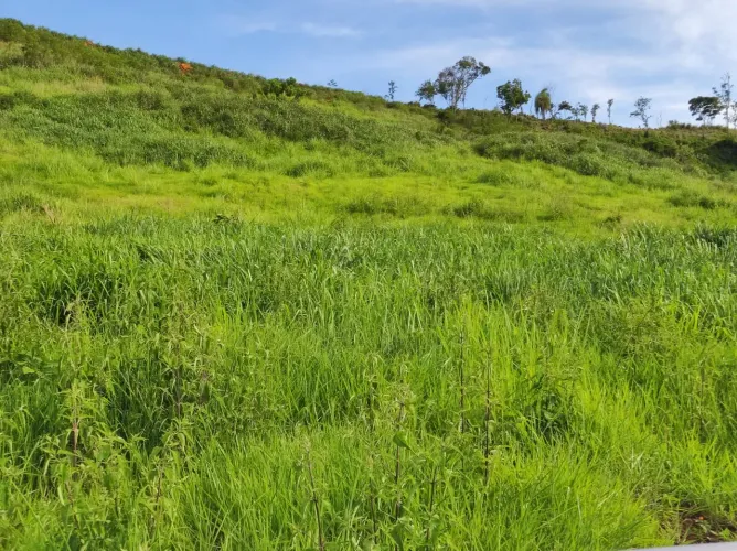 Vende Fazenda pecuária 6 anos para pagar