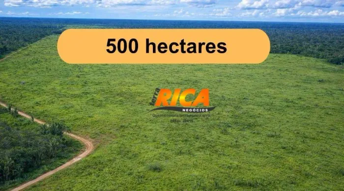 Vende - se Excelente Fazenda com 500 Hectares, Rica em Água e Terra Roxa 88 km de Porto V