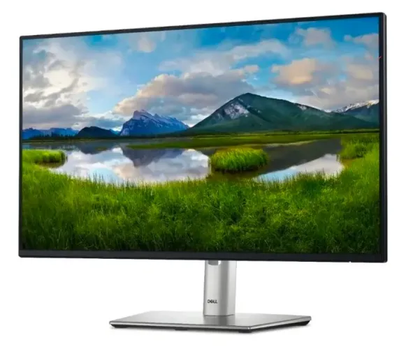 Monitor DELL P2222H
