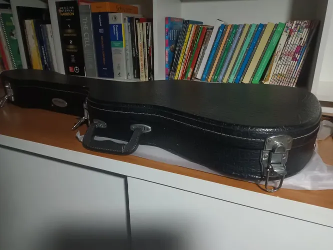 Case para guitarra stratocaster