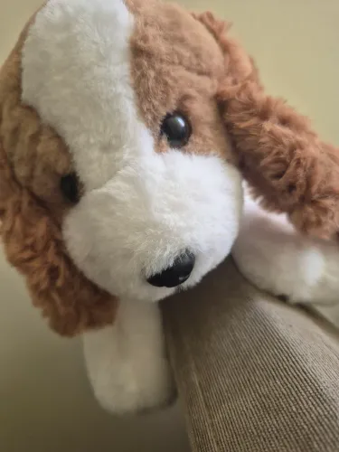 Cachorrinho de Pelúcia