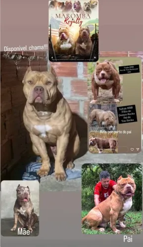Pit monster
