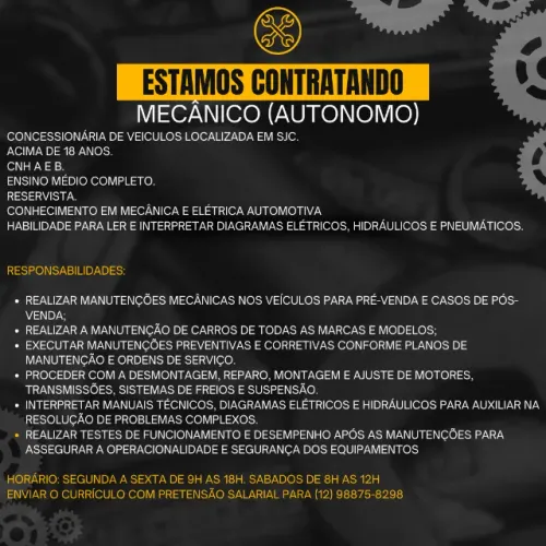 Mecânico (Autônomo)