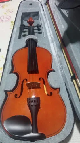 Violino vogga