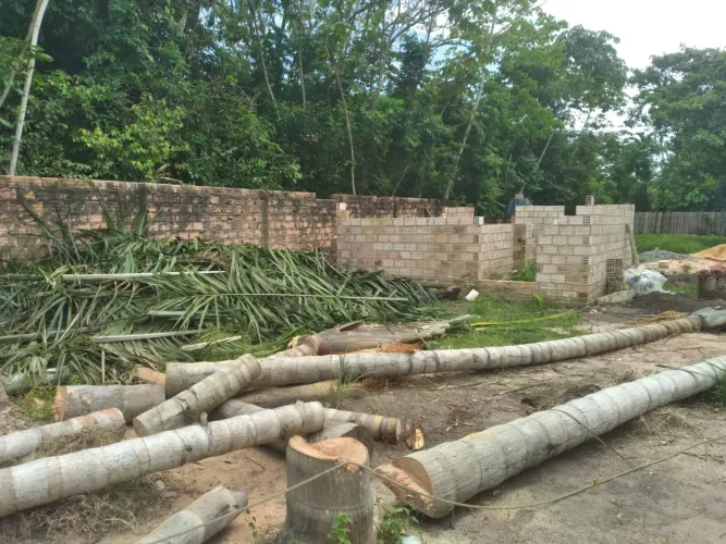 Terreno
