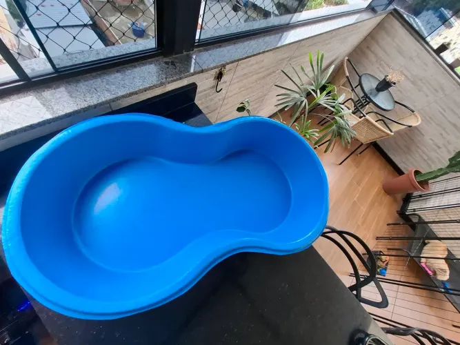 Piscina feijão 50 litros