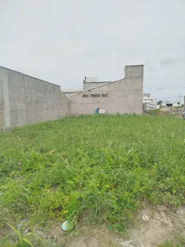 Vendesse terreno 