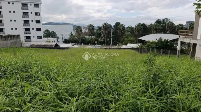 Terreno à venda na Pedra Branca - Palhoça/SC | Próximo ao lago e Passeio Pedra Branca