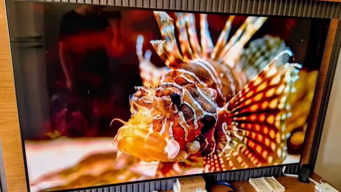 TV Qled SAMSUNG 65