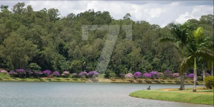 Terreno a venda Condomínio Quinta da Baroneza R$ 4.000.000,00