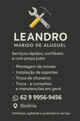Marido de aluguel