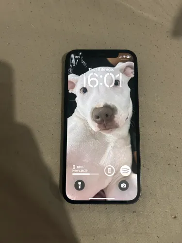 iPhone 12 256gb