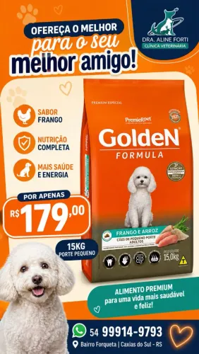 Golden porte pequeno frango 15kg