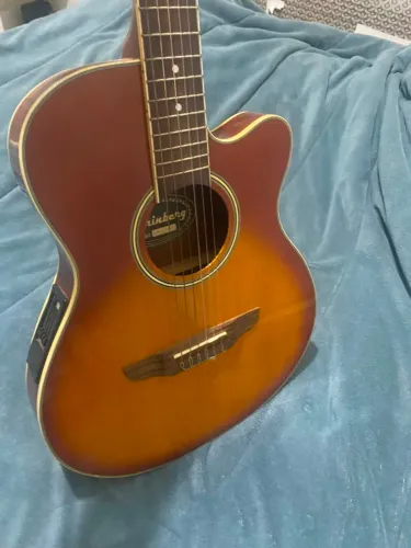 Violão Fleter Elétrico