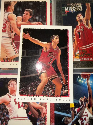 Toni Kuko? 1993-94 Fleer #260 Rookie Card RC Chicago Bulls