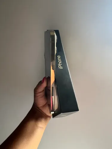IPHONE 13 PRO MAX 256gb
