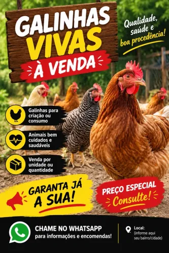 Galinhas vivas