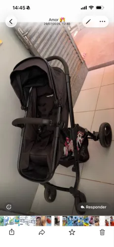 Carrinho de bebê estilo Moisés