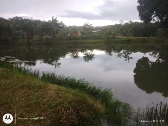 Moura Gestor Imobiliario Vende Um Sitio com 46ha no km 39 de Belém, Pa, Alça Viaria