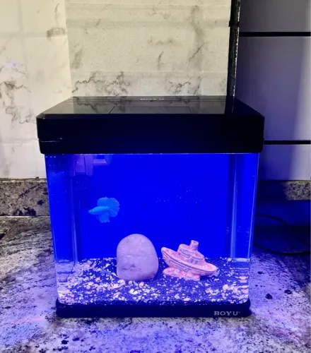AQUÁRIO 10 LITROS BOYU COM FILTRO INTEGRADO/ NOVO