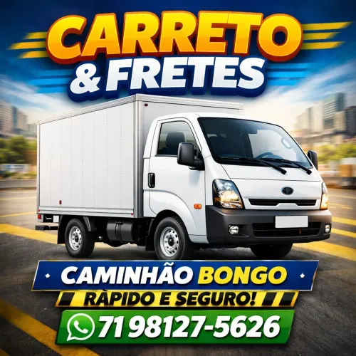 Frete carretos mudança descartes