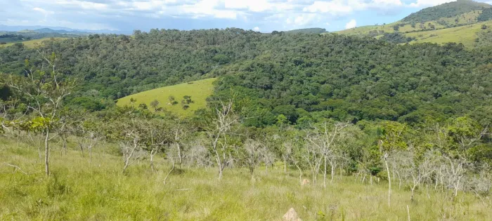 Ótima Oportunidade sítio a venda em Cunha 