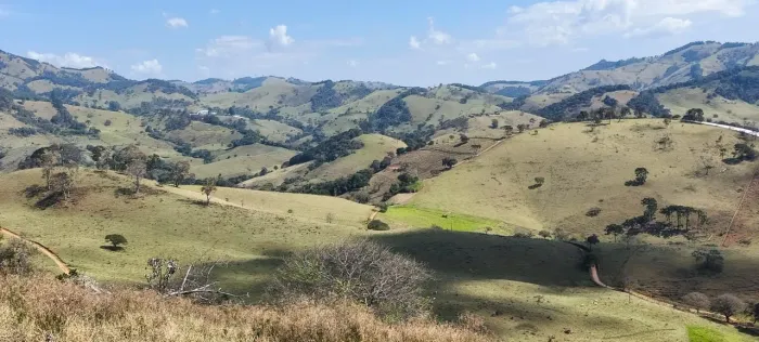 4 alqueires de terra