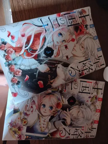 Manga usado