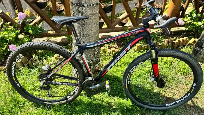 Mountain Bike FIRST Aro 29