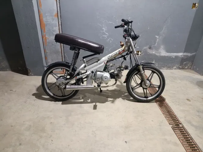 Bicicleta motorizada 