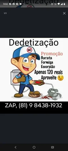 Promoção de dedetização apenas 120 reais 
