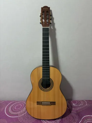Violão Rizini RX 213