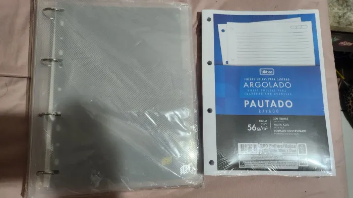 Fichário universitário + pacote 200 folhas