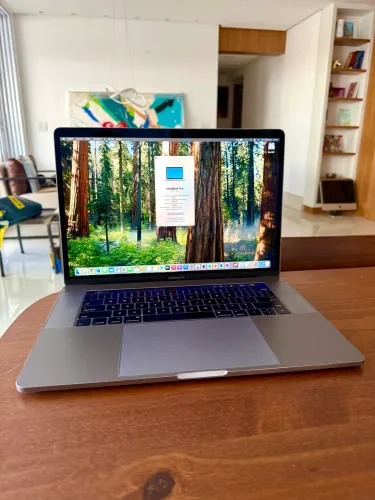 MacBook Pro 2018, i7 (6-Core), 15Pol. 16G, Sequoia, 2.5 Terra SSD