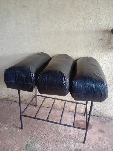 Esterco Bovino