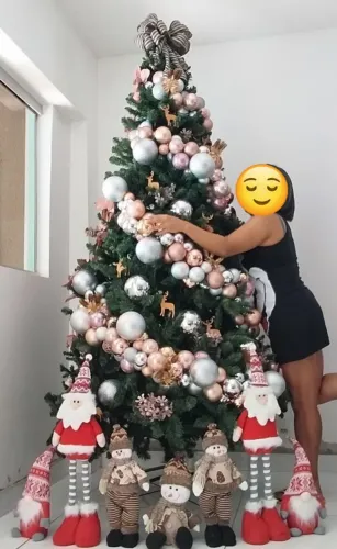 Decoração de Natal( Negociável)OS BONECOS E A ÁRVORE NÃO ESTÃO A VENDA.