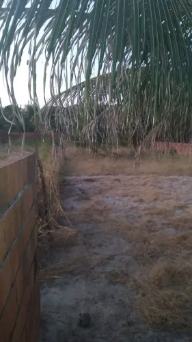 Terreno/mini sitio