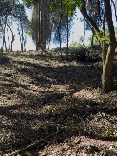 Terreno de 2.000 m² com Vista para o Pôr do Sol - Planalto Verde | São Roque/SP