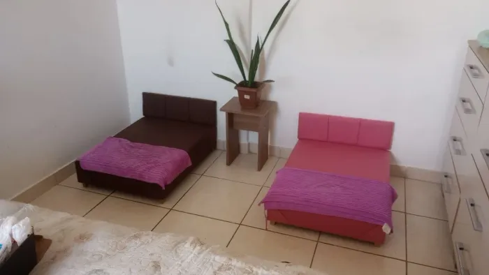 Cama para cachorro
