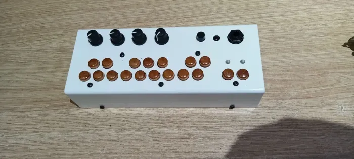 Sintetizador Bolsa Bass Critter & Guitari