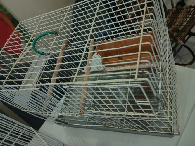 Vendo gaiolas