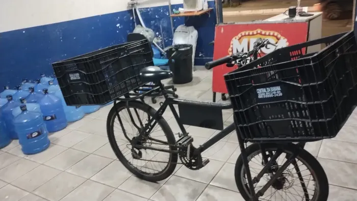 Bicicleta cargueira