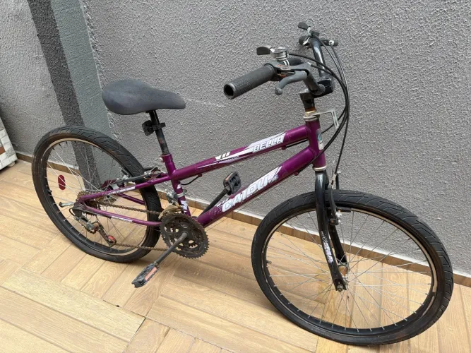 Bicicleta