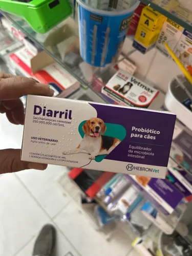 Diarril cães