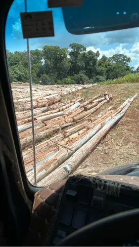 Serraria fixa completa! 60 mil