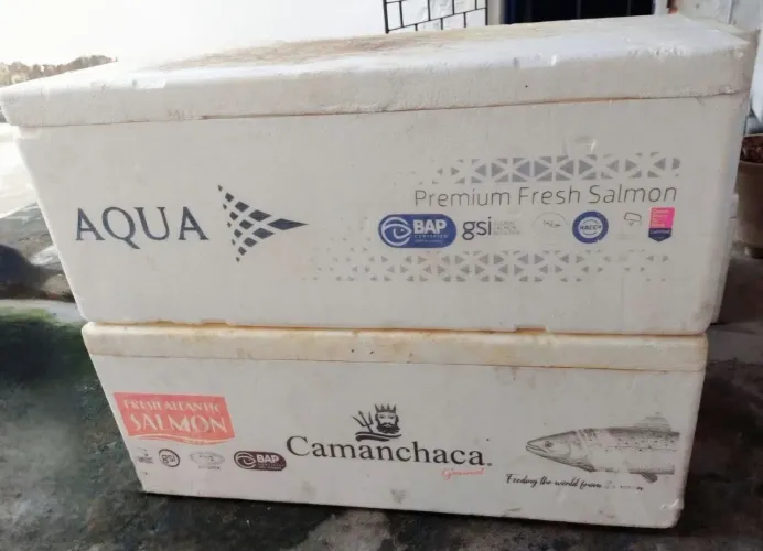 Caixa de Isopor