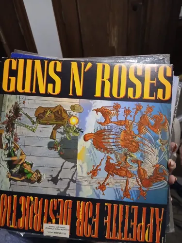 Disco de vinil Gun?s roses