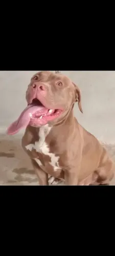 Pit monster